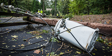 KUA Earns Storm Response Award for Third Consecutive Year