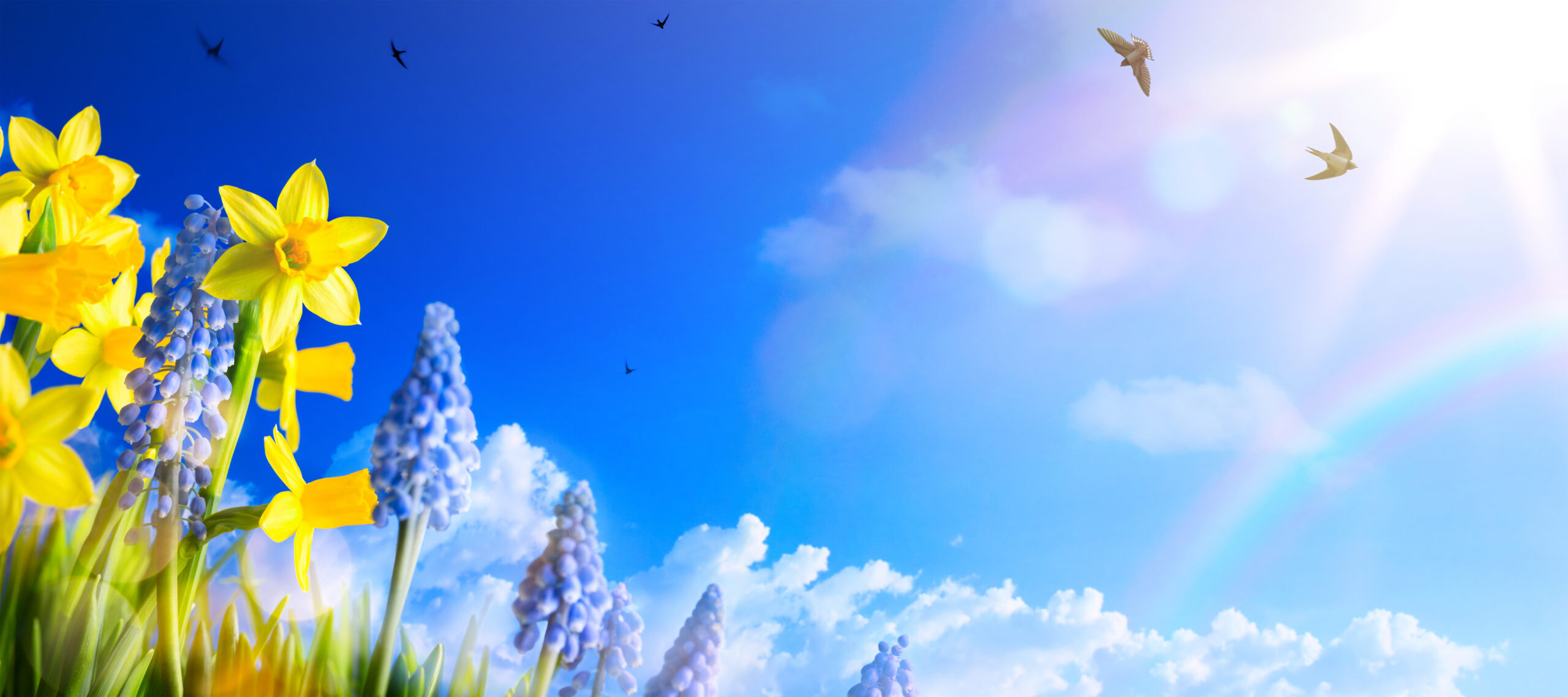 Spring Forward With These 5 Conservation Tips